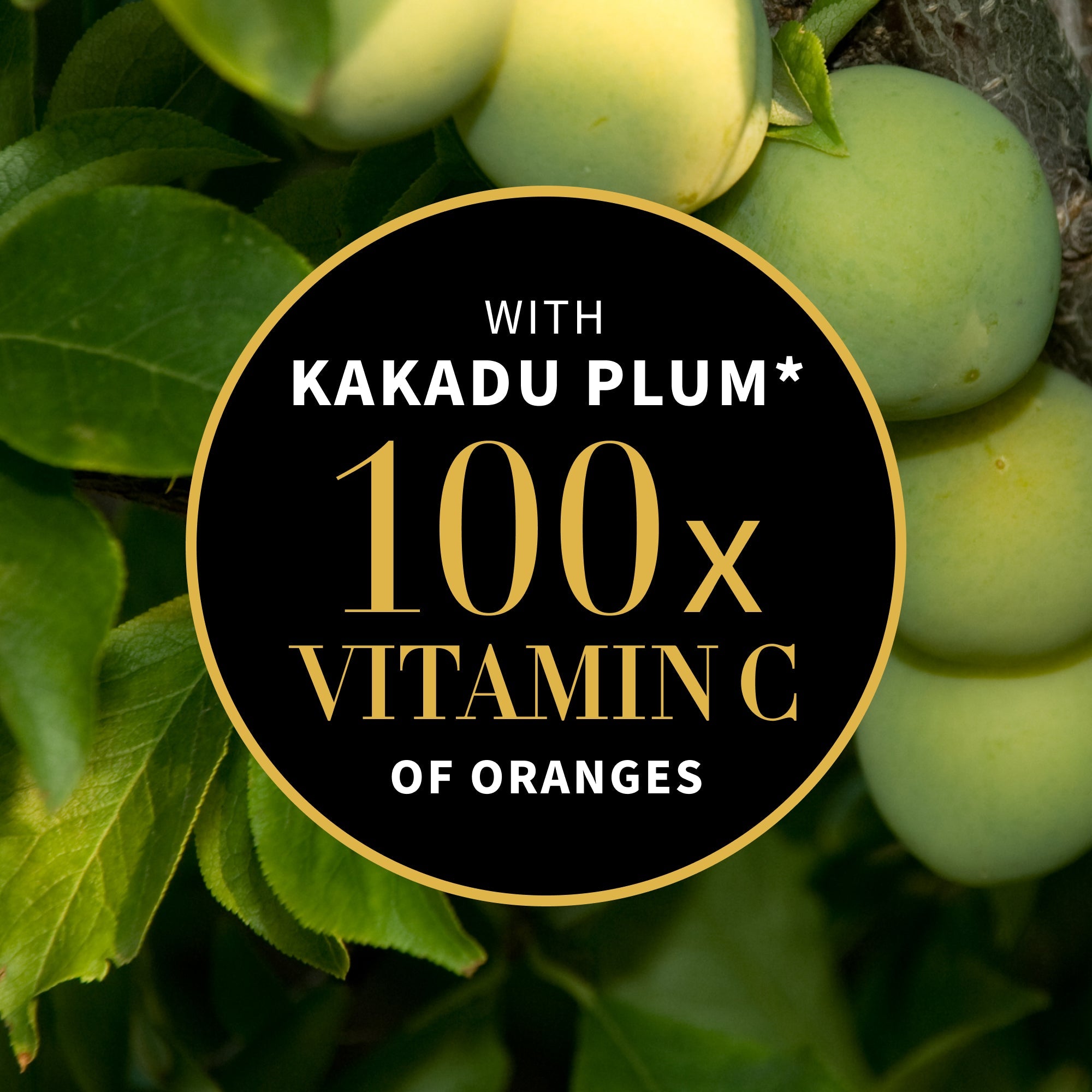 Antipodes Glow Vitamin C Serum ingredients – Kakadu plum and Vinanza Grape & Kiwi