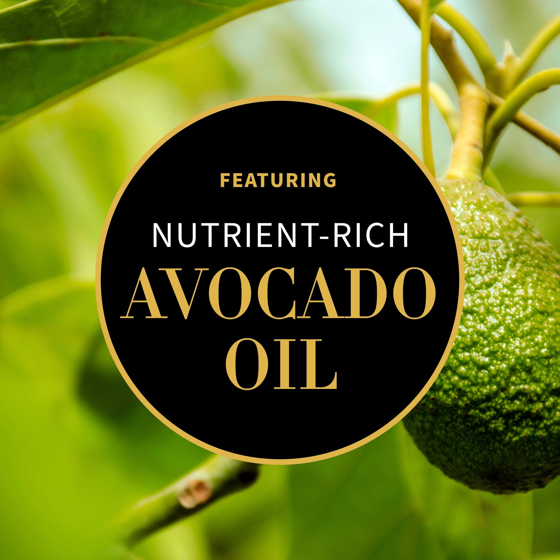 Antipodes Hallelujah Cleanser ingredients – kawakawa leaf and avocado oil