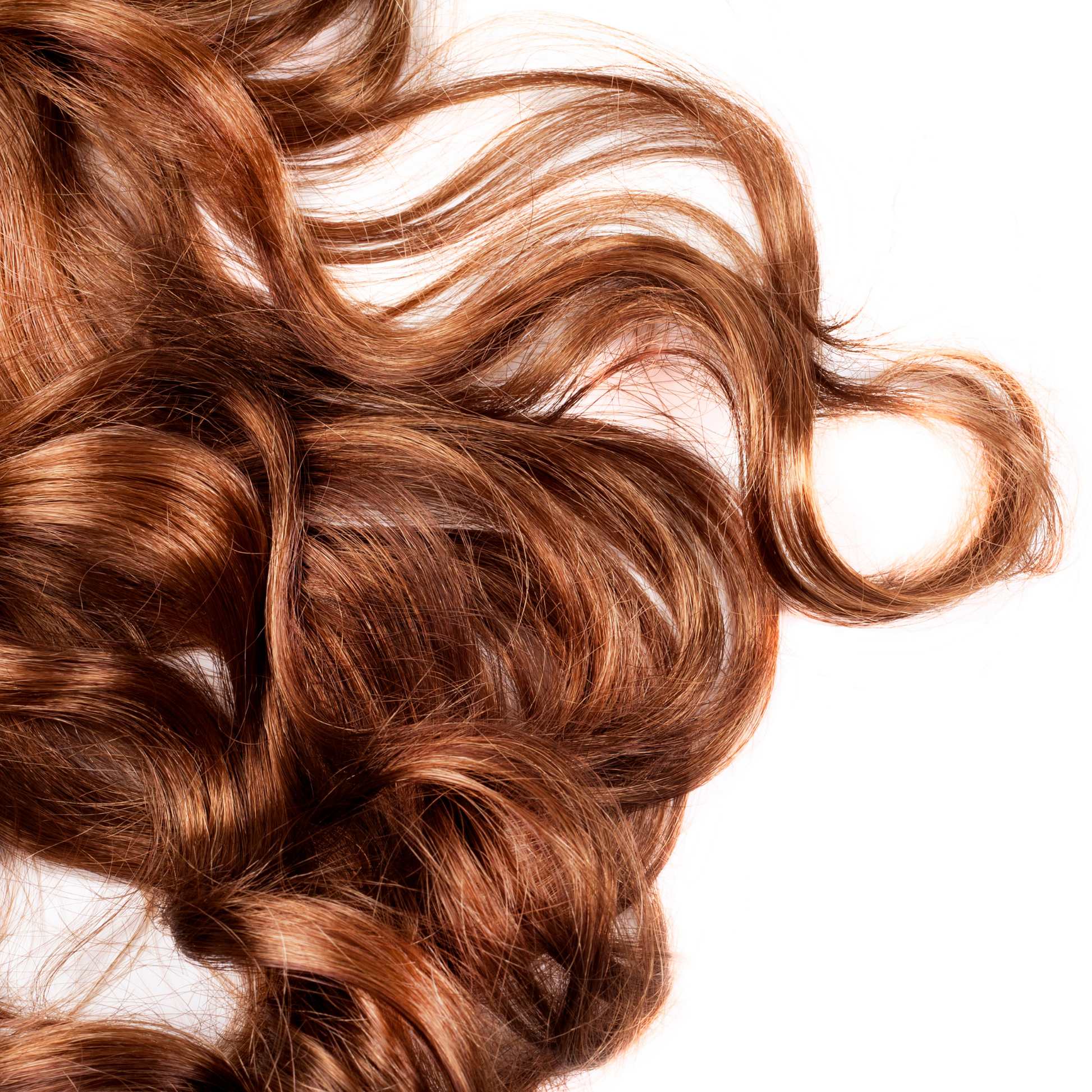 Lust Haircare Detangling Spray-Icon Haircare & Beauty NZ-2