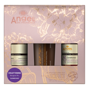 Angel en Provence Violet Toning Colour Protect Mask Gift Pack for blonde hair - Angel Haircare NZ