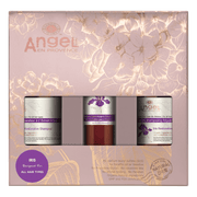 Angel Iris Restorative & Leave-In Treatment Gift Set