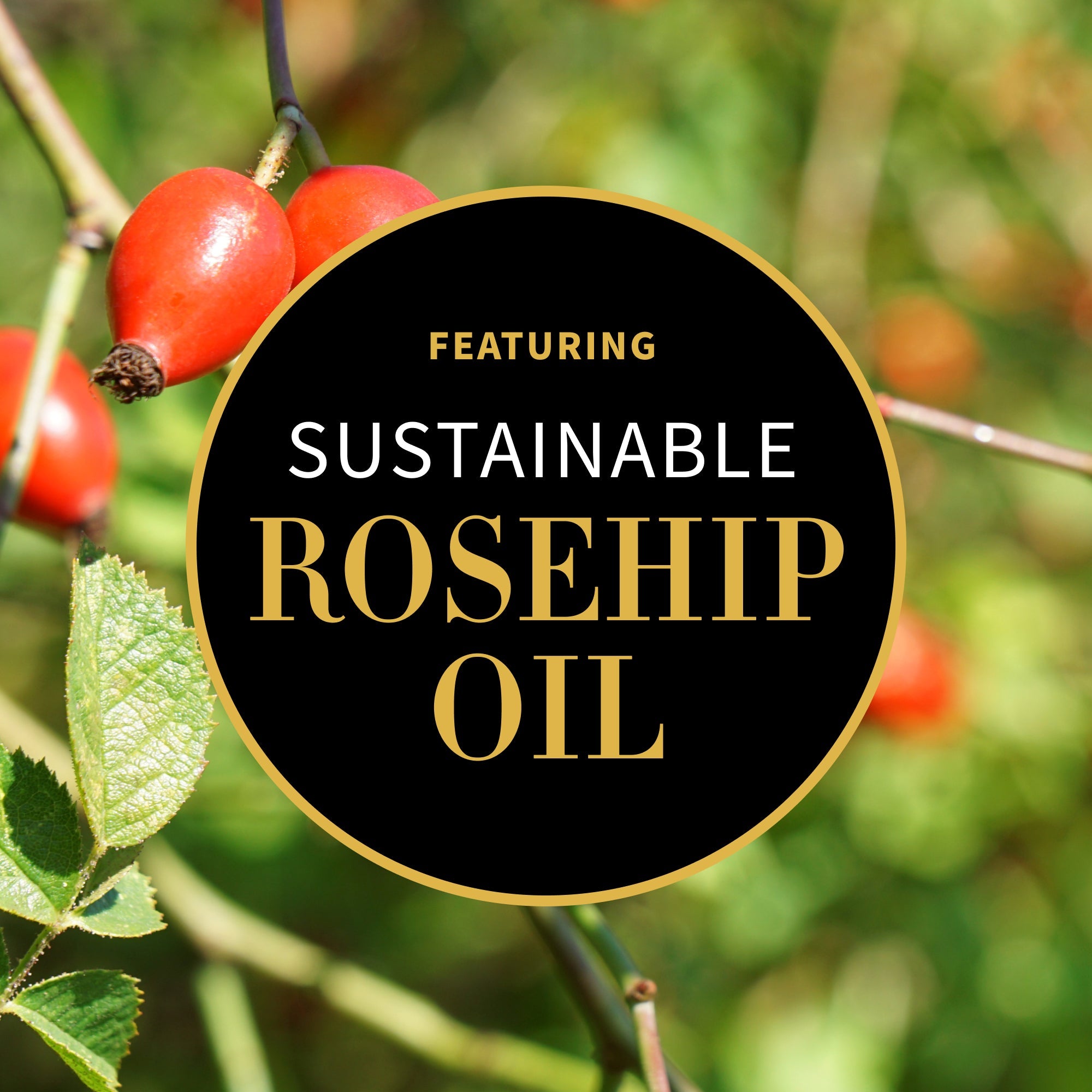 Antipodes Vanilla Pod Day Cream ingredients – manuka honey and rosehip oil