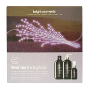 Paul Mitchell Tea Tree Lavender Mint Gift Set