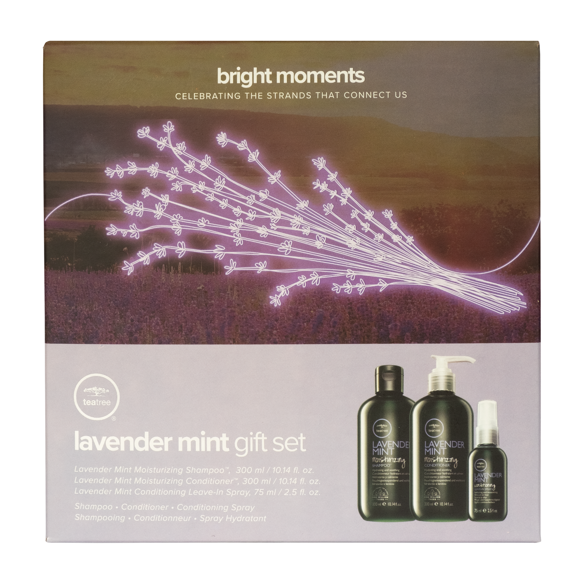 Paul Mitchell Tea Tree Lavender Mint Gift Set